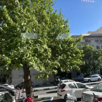 ظفر ۱۵۰ متر مغازه نوساز با ۱۰۰ متر انبار تجاری