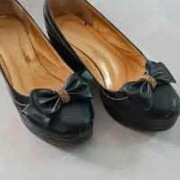 کفش مجلسی