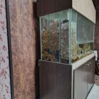 ماهی|ماهی|کرج, ساسانی (قلمستان)|دیوار