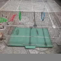 دو عدد قفس پرنده درحدنو بالوازم کامل  یک مرغ عشق