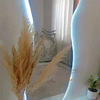اینه قدی بک لایت دیواری مدل B500