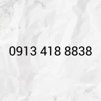 09134188838