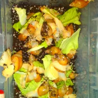 حلزون|خزنده|بافت, |دیوار