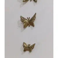 پروانه برنز