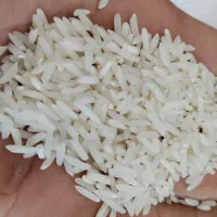 برنج هاشمی