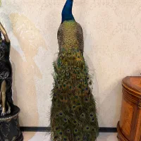 دکوری انتیک و زیبا