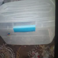 جانونی سایز بزرگ