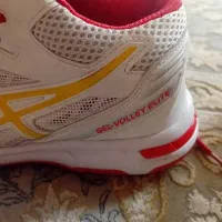 کفش بسکتبال