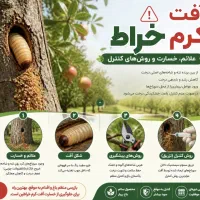 قابل توجه کشاورزان عزیز (کود های کاملا ارگانیک)