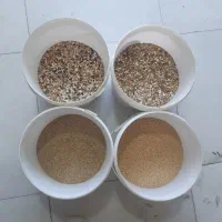 دانه و لوازم پرنده