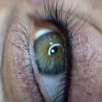 میکروی‌ابرو،شیدلب‌،بن‌مژه‌،به‌صورت‌‌کاملا تخصصی