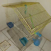 قفس پرنده