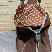ساک چرخ دار دستی