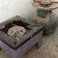 گاز
