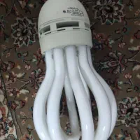 لامپ|لامپ و چراغ|چناران, |دیوار