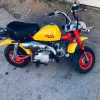 موتور کویر m1