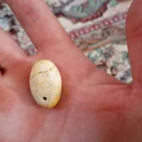 مهره|جواهرات|آمل, |دیوار