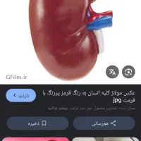 بهداشتی درمانی