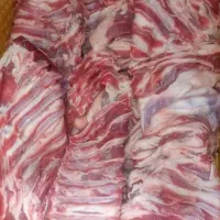 پخش عمده قلوه گاه گوسفند فقط گرم تهران،کرج