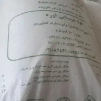 فروش کود سفید پردیس