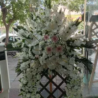 گلفروشی رز