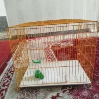 قفس پرنده