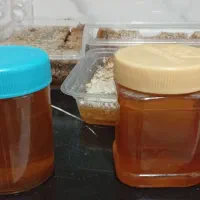 فروش عسل صددرصدطبیعی