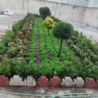 خدمات باغبانی باغچه کاری سمپاشی گل گیاه صفرتاصد