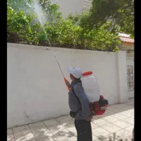 باغبانی سمپاشی هرس کاری سم پاشی گل درخت تمام نقاط