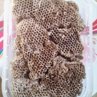 عسل کاملاً طبیعی نایاب