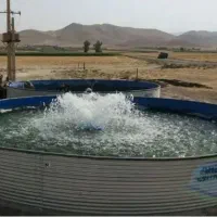پرورش ماهی شراکتی