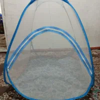 پشه بند