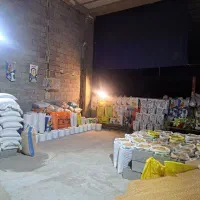 گندم و ارزن
