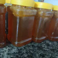 عسل طبیعی ۱۰۰در صد