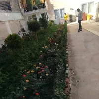 خدمات باغبانی پاکدشت وارامین خاور شهرقیام دشت قرچک