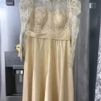 لباس مجلسی نباتی