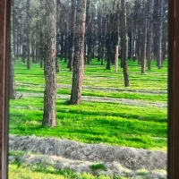 گوشی سامسونگ a51 رم ۸ حافظه ۱۲۸