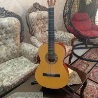 گیتار goodman