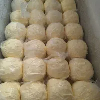 پخش کره حیوانی