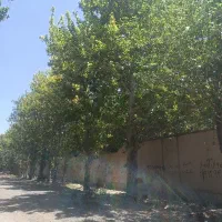 440 متر سند تک برگ با گاز و برق