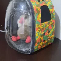 کوله حمل سگ و گربه برند catties کوالیتی لایف