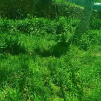 فروش ملک