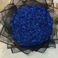 دنیای گل