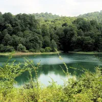 استخدام نیروی ساده و عکاس