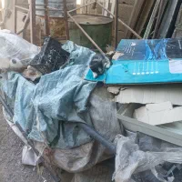 تعدادی بچه گربه متفاوت