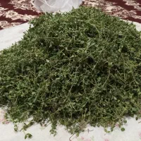 آویشن کوهی