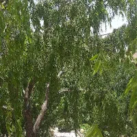 تور طبیعت‌گردی با اسکان