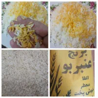 فروش برنج فجر چمپا عنبربو