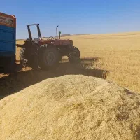 خریدار کاه