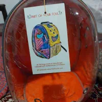 کیف حمل پرنده نو نو